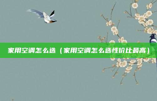 家用空调怎么选(家用空调怎么选性价比最高)