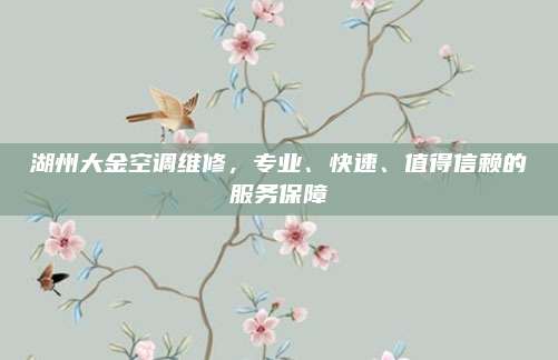 湖州大金空调维修,专业、快速、值得信赖的服务保障