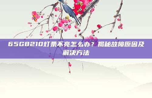 65G8210灯条不亮怎么办?揭秘故障原因及解决方法