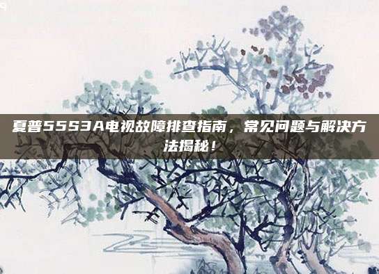 夏普55S3A电视故障排查指南，常见问题与解决方法揭秘！