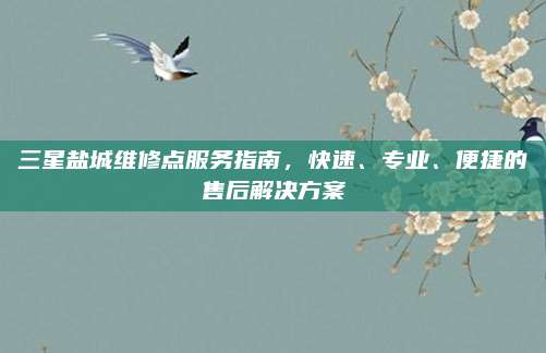 三星盐城维修点服务指南，快速、专业、便捷的售后解决方案
