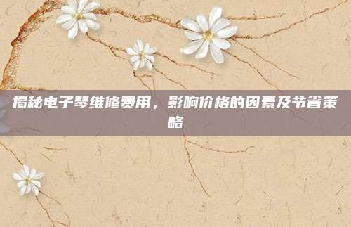 揭秘电子琴维修费用,影响价格的因素及节省策略
