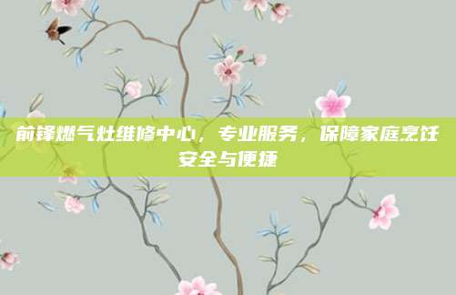 前锋燃气灶维修中心，专业服务，保障家庭烹饪安全与便捷