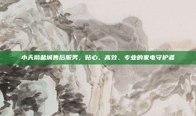 小天鹅盐城售后服务,贴心、高效、专业的家电守护者