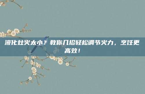 液化灶火太小?教你几招轻松调节火力,烹饪更高效!
