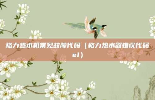 格力热水机常见故障代码（格力热水器错误代码e1）