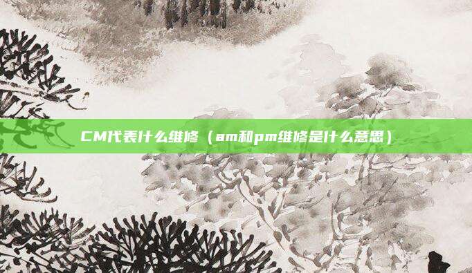 CM代表什么维修(am和pm维修是什么意思)