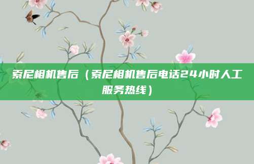 索尼相机售后（索尼相机售后电话24小时人工服务热线）