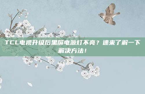 TCL电视升级后黑屏电源灯不亮？速来了解一下解决方法！