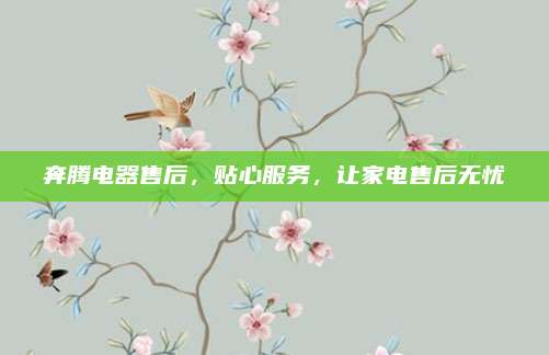 奔腾电器售后，贴心服务，让家电售后无忧