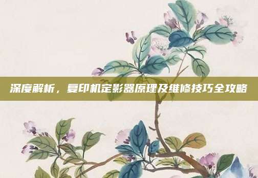 深度解析,复印机定影器原理及维修技巧全攻略