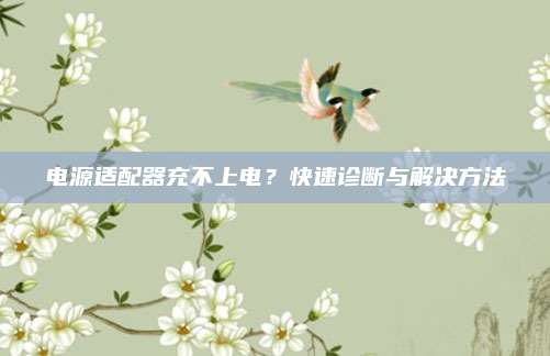 电源适配器充不上电?快速诊断与解决方法