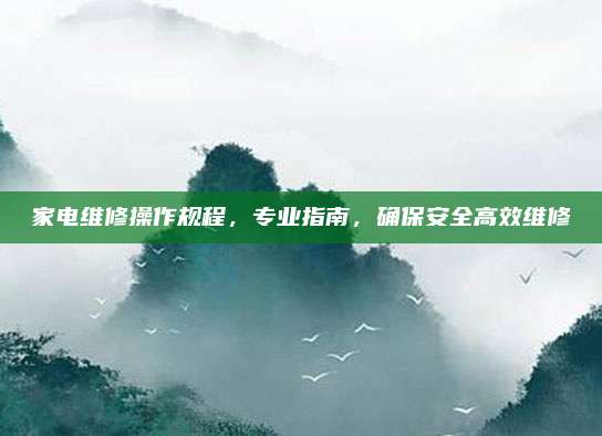 家电维修操作规程，专业指南，确保安全高效维修