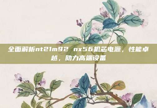 全面解析nt21m92 nx56机芯电源，性能卓越，助力高端设备