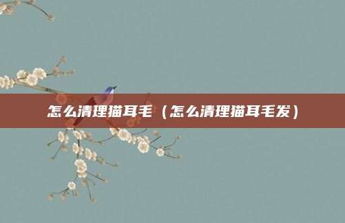 怎么清理猫耳毛(怎么清理猫耳毛发)