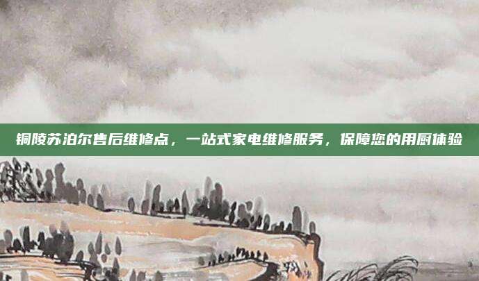铜陵苏泊尔售后维修点，一站式家电维修服务，保障您的用厨体验