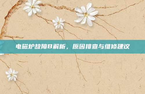电磁炉故障B解析，原因排查与维修建议