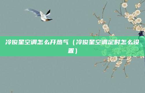 冷俊星空调怎么开热气(冷俊星空调定时怎么设置)