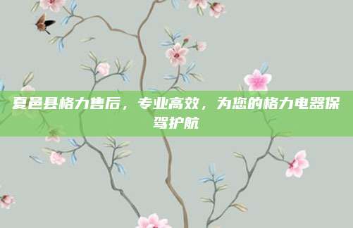 夏邑县格力售后，专业高效，为您的格力电器保驾护航