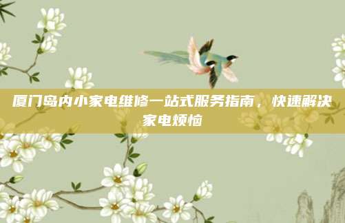 厦门岛内小家电维修一站式服务指南，快速解决家电烦恼