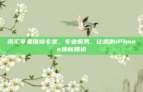 南汇苹果维修专家,专业服务,让您的iPhone焕新如初