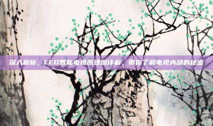 深入解析,LED智能电视原理图详解,带你了解电视内部的秘密