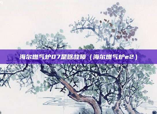 海尔燃气炉07是啥故障(海尔燃气炉e2)