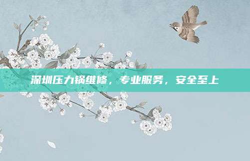 深圳压力锅维修，专业服务，安全至上