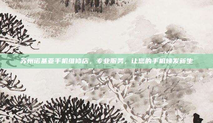 苏州诺基亚手机维修店,专业服务,让您的手机焕发新生