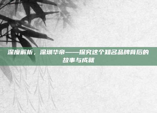 深度解析,深圳华帝——探究这个知名品牌背后的故事与成就