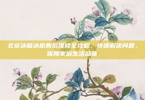 北京冰箱冰柜售后维修全攻略，快速解决问题，保障家庭生活品质