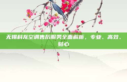 无锡科龙空调售后服务全面解析，专业、高效、贴心