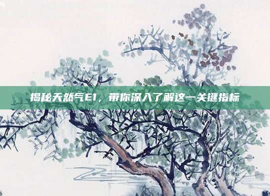 揭秘天然气E1，带你深入了解这一关键指标