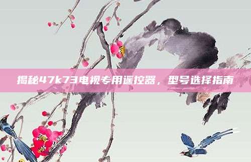 揭秘47k73电视专用遥控器，型号选择指南