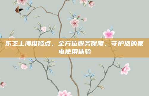 东芝上海维修点，全方位服务保障，守护您的家电使用体验