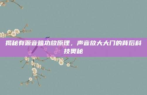 揭秘有源音箱功放原理，声音放大大门的背后科技奥秘