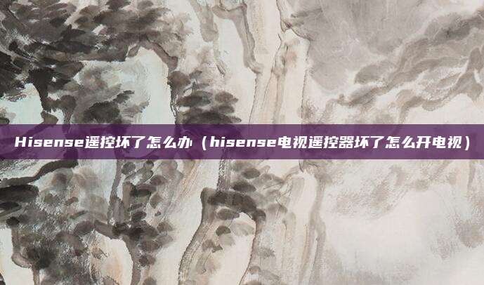 Hisense遥控坏了怎么办(hisense电视遥控器坏了怎么开电视)
