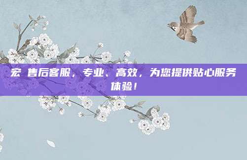 宏碁售后客服,专业、高效,为您提供贴心服务体验!