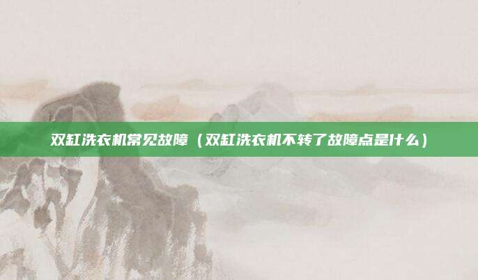双缸洗衣机常见故障（双缸洗衣机不转了故障点是什么）