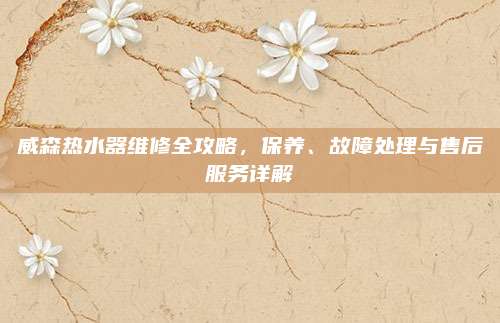 威森热水器维修全攻略，保养、故障处理与售后服务详解