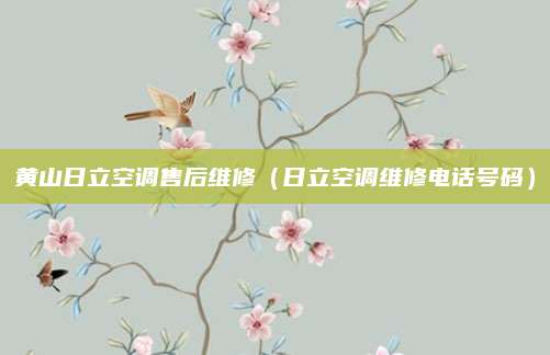 黄山日立空调售后维修(日立空调维修电话号码)