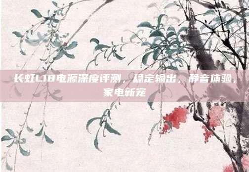 长虹L18电源深度评测,稳定输出,静音体验,家电新宠