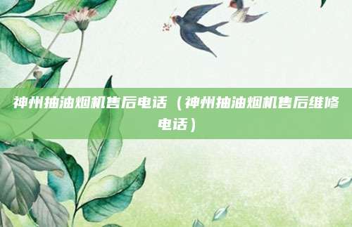 神州抽油烟机售后电话（神州抽油烟机售后维修电话）