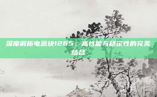 深度解析电源块1265,高性能与稳定性的完美结合