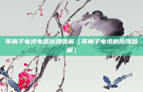 等离子电视电路原理图解（等离子电视的原理图解）