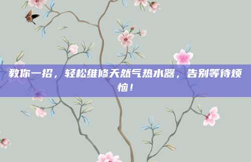 教你一招，轻松维修天然气热水器，告别等待烦恼！