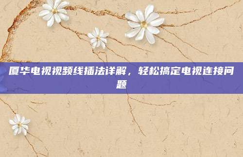 厦华电视视频线插法详解，轻松搞定电视连接问题