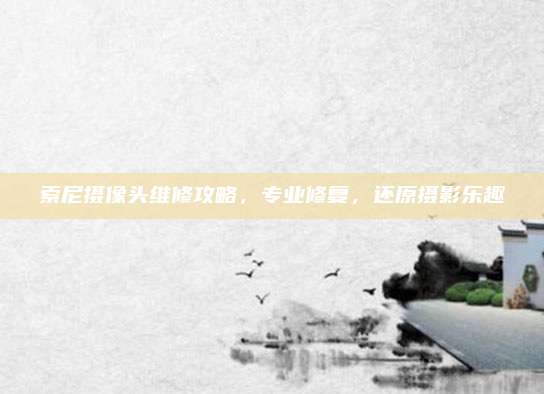 索尼摄像头维修攻略，专业修复，还原摄影乐趣