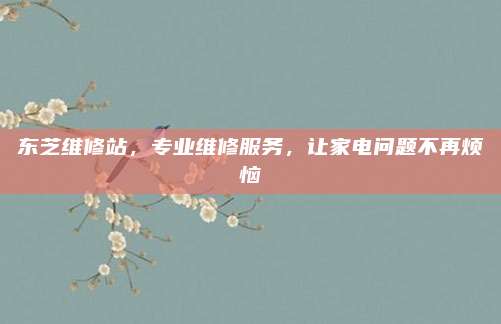 东芝维修站,专业维修服务,让家电问题不再烦恼