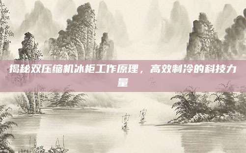 揭秘双压缩机冰柜工作原理,高效制冷的科技力量